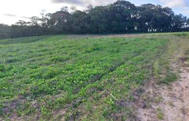 Imagem 14: Lote/Terreno para venda possui 600 metros quadrados em Jardim Brasil -...