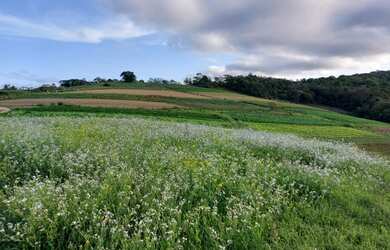 Imagem 16: Lote/Terreno para venda tem 600 metros quadrados em Jardim Brasil - Atibaia...