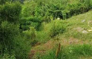 Imagem 2: Vende-se este terreno. 