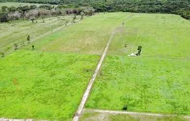 Imagem 5: 25 Hectares porteira fechada por 600 mil reais ha 40 km de Castanhal