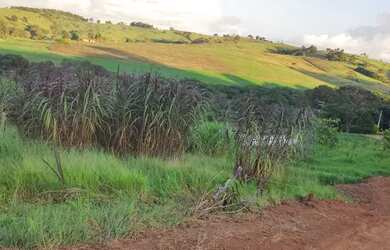 Imagem 11: 48AN-1JK4DU0. 500m² de Área