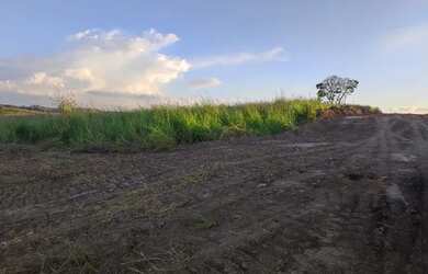 Imagem 7: Lote/Terreno para venda possui 500 metros quadrados em Vila Santista -...