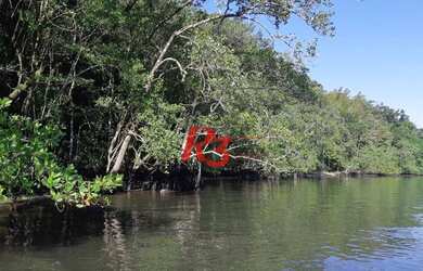 Imagem 13: Terreno à venda, 40435 m² - Balneario Praia do Perequê - Guarujá/SP