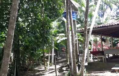 Imagem 10: 25 Hectares porteira fechada por 600 mil reais ha 40 km de Castanhal