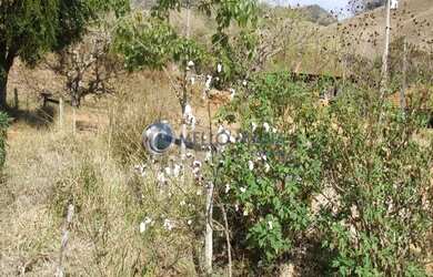 Imagem 12: Fazenda de agricultura orgânica, onde se produz excelente café reconhecido...