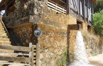 Imagem 2: Fazenda de agricultura orgânica, onde se produz excelente café reconhecido...