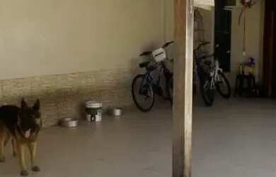 Imagem: A casa possui 5 Dormitórios, 3 Banheiros, 80m² de Área e