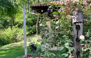 Imagem 15: Rancho Para Venda Na Área Rural