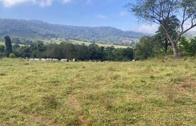 Imagem: A fazenda possui 7m² de Área e está localizado em Heitoraí