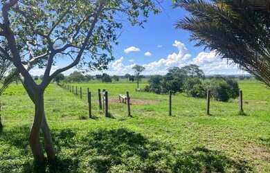 Imagem 10: Fazenda com 1.433 Hectares - IACIARA - GO -R$. 42 Milhões