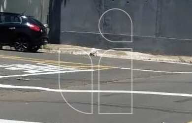 Imagem 2: Casa em Conjunto Habitacional Vila dos Comerciários II - Marília