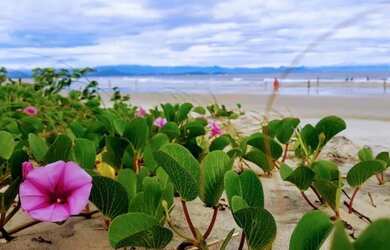 Imagem: A casa possui 1 Dormitório, Acomodam 30 pessoas e está localizado