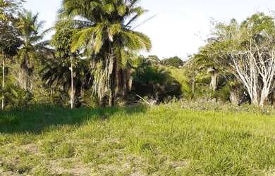 Imagem: A chácara possui 45.000m² de Área e está localizado em