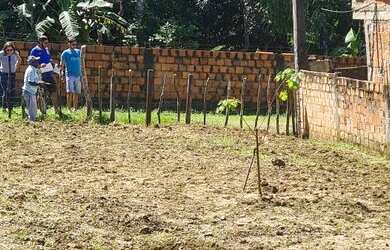 Imagem: O terreno está localizado em Santa Cruz, Salvador à venda