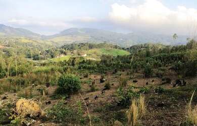 Imagem: O terreno possui 600m² de Área e está localizado em Nova