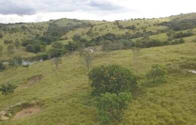 Imagem 6: Fazenda A Venda em Luziânia Goiás - 72,6 Ha - Toda Formada - Oportunidade