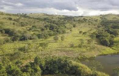 Imagem 10: Fazenda A Venda em Luziânia Goiás - 72,6 Ha - Toda Formada - Oportunidade