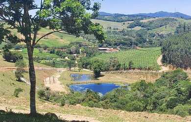Imagem 9: 14-a troco terreno por seu carro