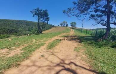 Imagem 11: 14-a troco terreno por seu carro