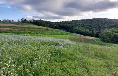 Imagem 15: Lote/Terreno para venda possui 600 metros quadrados em Jardim Brasil -...