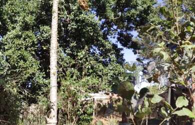 Imagem 1: Chácara a venda em São José do Rio Preto