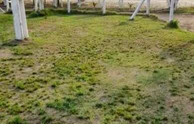 Imagem 12: Casa na praia ? Casa com 1 dormitório