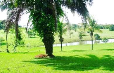 Imagem 3: Fazenda 9,5 Alqueires GOIÂNIA