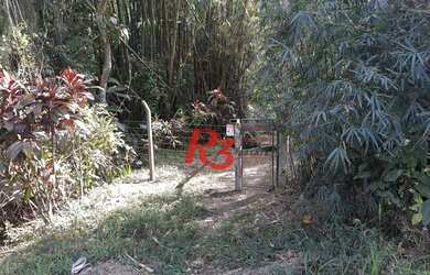 Imagem 12: Terreno à venda, 40435 m² - Balneario Praia do Perequê - Guarujá/SP