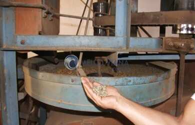 Imagem 10: Fazenda de agricultura orgânica, onde se produz excelente café reconhecido...