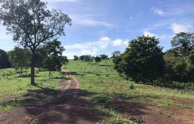 Imagem 3: Otima fazenda a venda. 