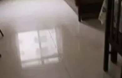 Imagem 4: Apartamento 2 quartos na Guilhermina praia grande