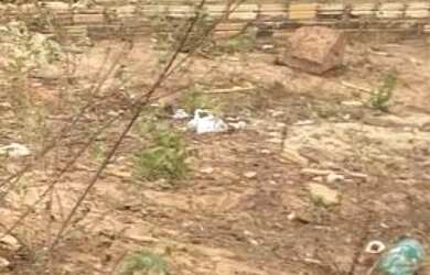 Imagem: O terreno possui 220m² de Área e está localizado em Jardim