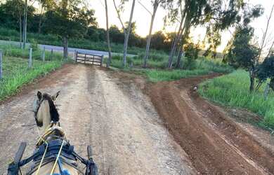 Imagem 4: OPORTUNIDADE ÚNICA Fazendinha de 38 hectares as margens da BR a 12 km...