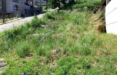 Imagem 4: Terreno,bairro Nossa Senhora da Saúde