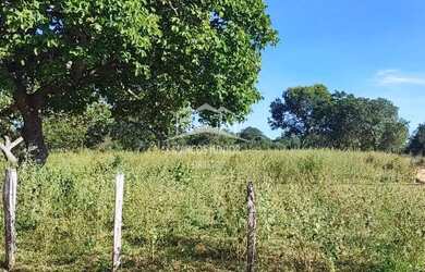 Imagem 13: ABAIXOU VENDO FAZENDA NA REGIÃO DE IBIAI MG, PARA DUPLA APTIDÃO