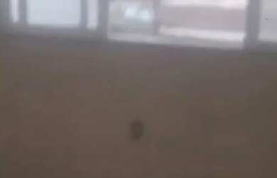 Imagem: A casa possui 2 Dormitórios, 2 Banheiros, 90m² de Área e