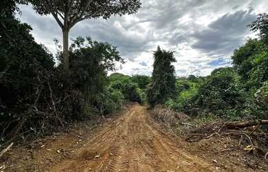 Imagem 10: Lote com 7 mil metros em Bela Vista de Goiás, com rio Piracanjuba nos...