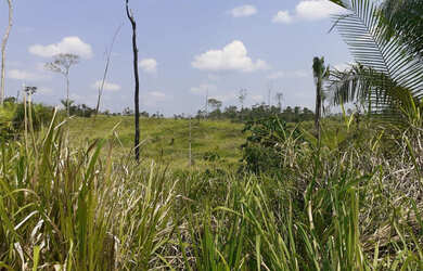 Imagem 10: Vendo Terra 200 alqueires 50 alqueires formado Manoel Urbano Acre