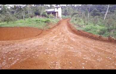 Imagem 3: Vendo Excelente Fazenda Em Gandu