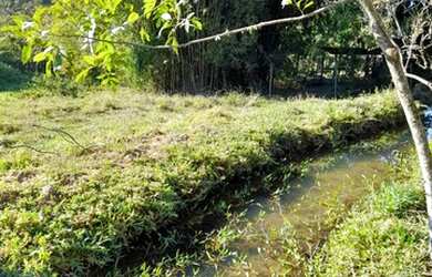 Imagem: A fazenda possui 4400m² de Área e está localizado em Centro