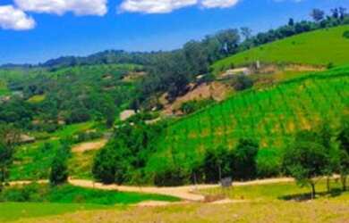 Imagem 12: Lote/Terreno para venda possui 600 metros quadrados em Vila Santista -...