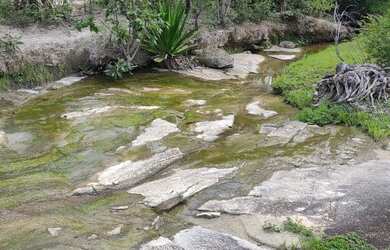 Imagem 6: Chácara 2500m², Córrego, Energia na Porta, Local muito Agradavel- Guapo