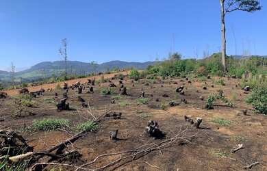 Imagem 10: Garanta ja o seu terreno com vista para a represa