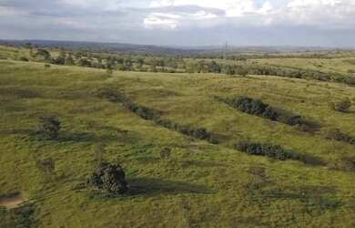 Imagem 7: Fazenda A Venda em Luziânia Goiás - 72,6 Ha - Toda Formada - Oportunidade