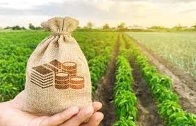 Imagem: Carta de crédito de R$ 200.000,00 a R$ 10.000.000,00