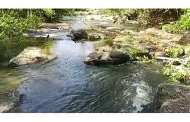 Imagem 4: Fazenda 45 Alq Aragoiania Bruta rica em Água