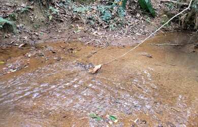 Imagem 14: Jóia Rara Lote nas Mansões de Recreio Estrela Dalva VII com Córrego...