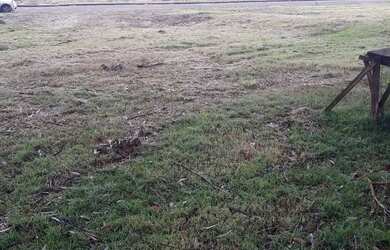 Imagem: O terreno à venda possui 417m² de Área e está localizado