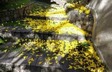 Imagem 6: Casa para venda tem 500 metros quadrados com 4 quartos em Camboinhas -...