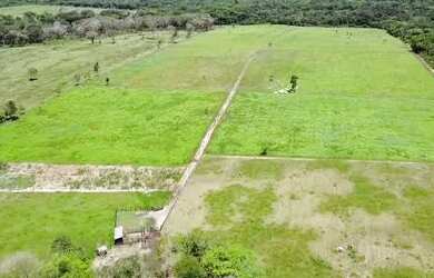 Imagem 4: 25 Hectares porteira fechada por 600 mil reais ha 40 km de Castanhal